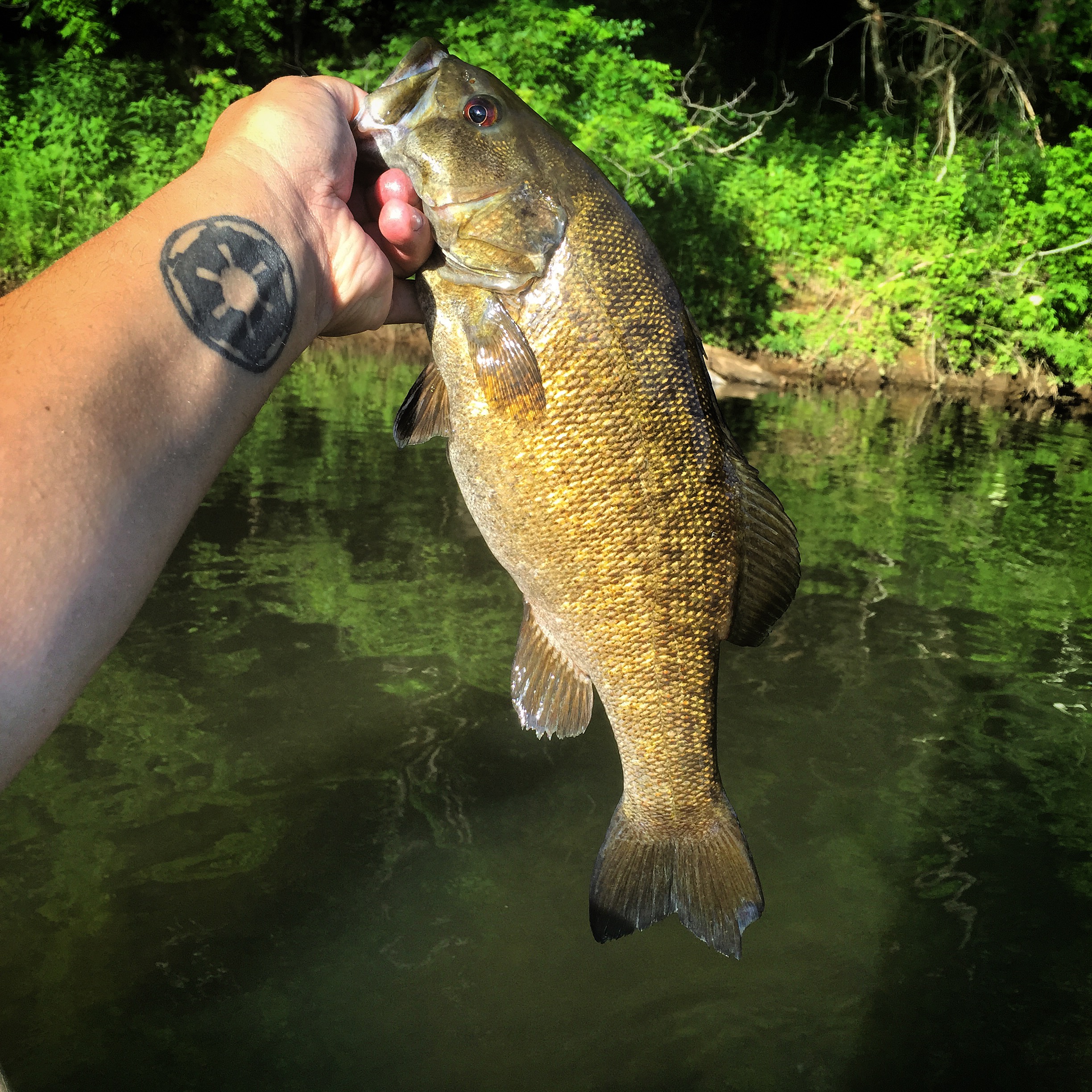 Fly Fishing for Smallmouth Bass in North Carolina  Hookers Fly Shop and  Guide Service. Your Smokies Fly Fishing Experience.