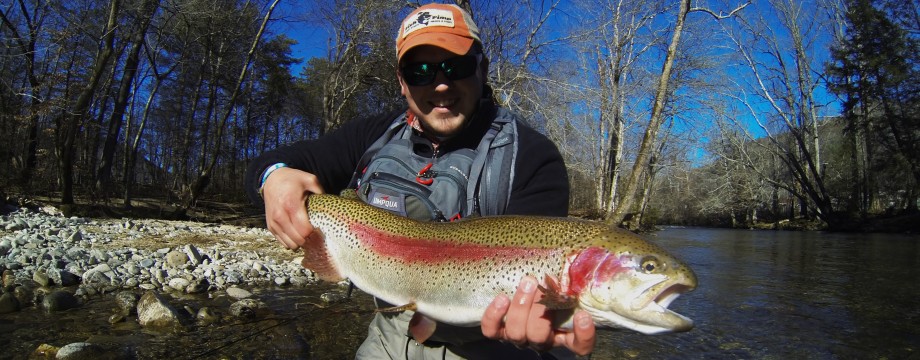 Fall Fly Fishing in Western North Carolina  Hookers Fly Shop and Guide  Service. Your Smokies Fly Fishing Experience.