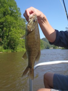 Smallmouth Trips in NC