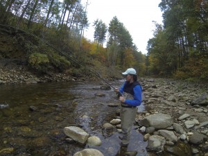 Guided Fly Fishing on the West Fork of the Pigeon