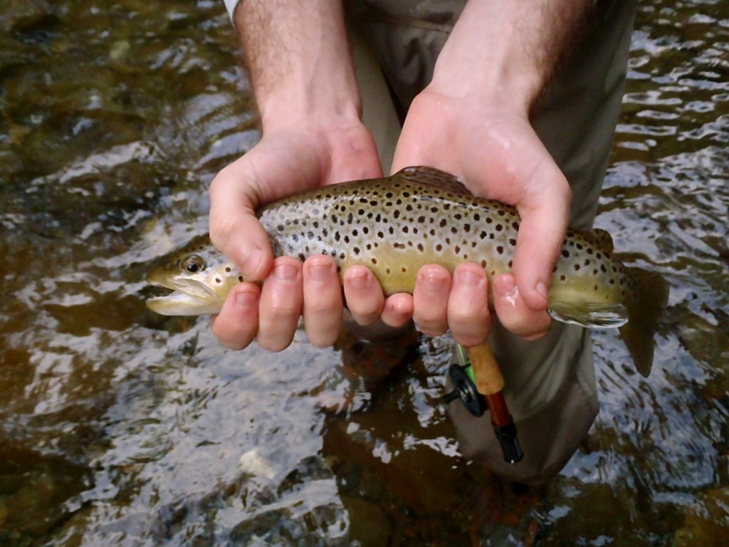 Fly Fishing in Gatlinburg Tennessee Hookers Fly Shop and Guide
