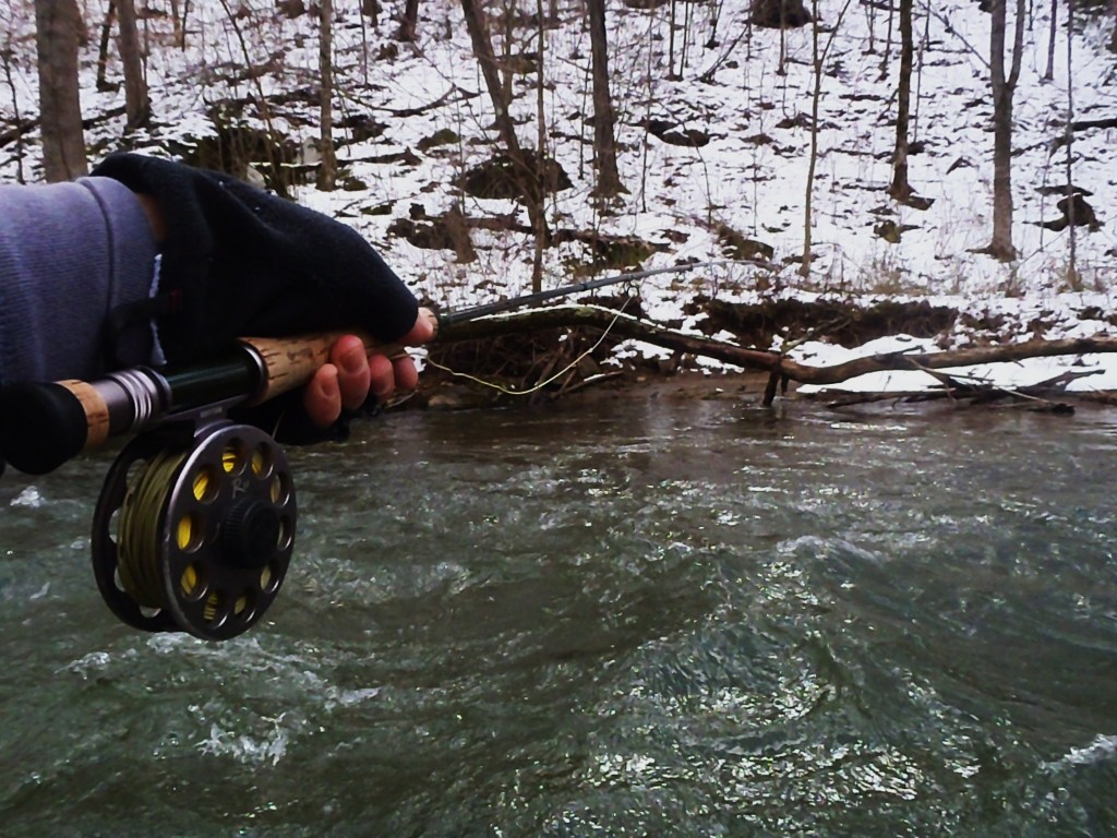 Discount Fly Fishing Trips for Western North Carolina Hookers Fly