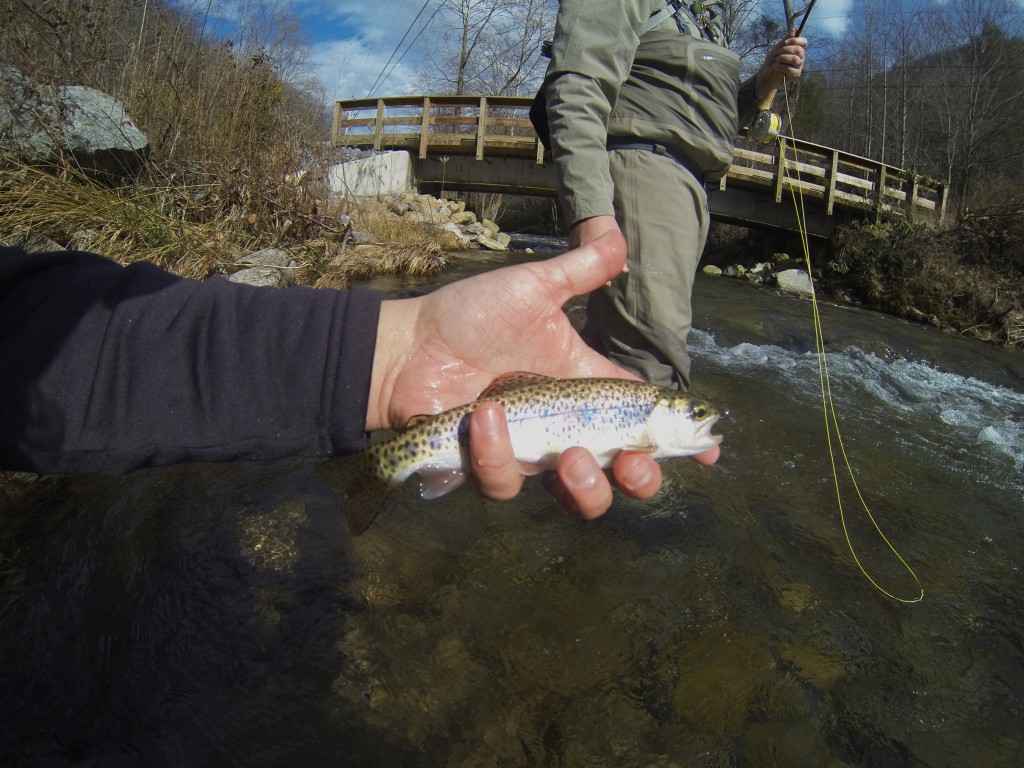 Guided Fly Fishing in Cherokee NC Hookers Fly Shop and Guide Service
